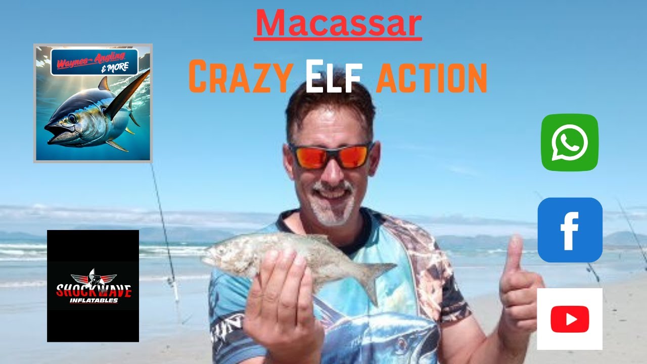 Macassar - Crazy Elf Action