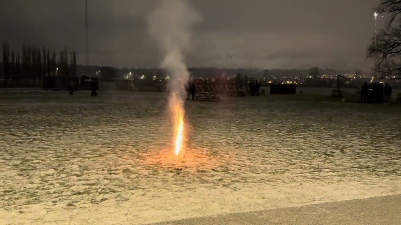 Gott nytt år  