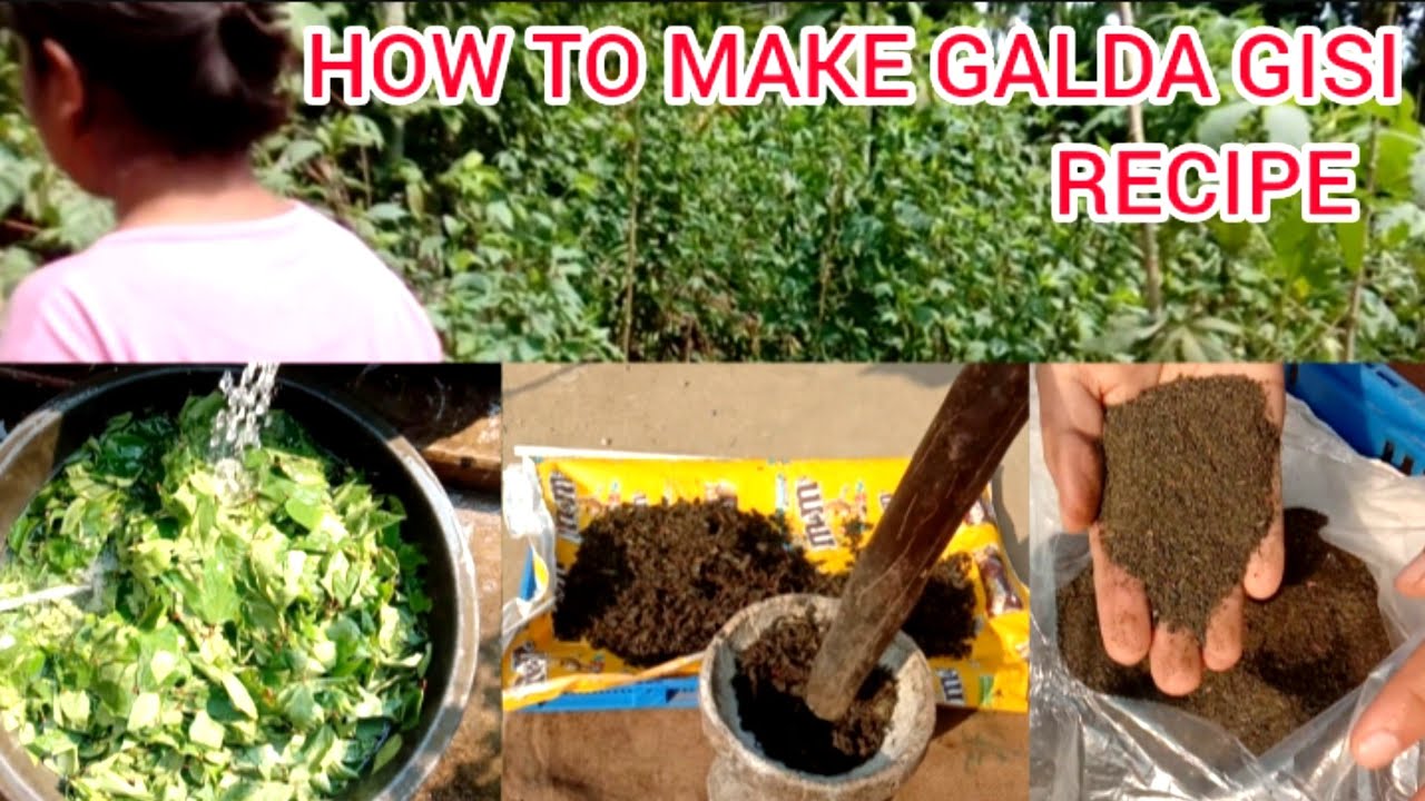 How to make Galda Gisi | Dried Roselle Powder | Garo ingredient @sarahsangma