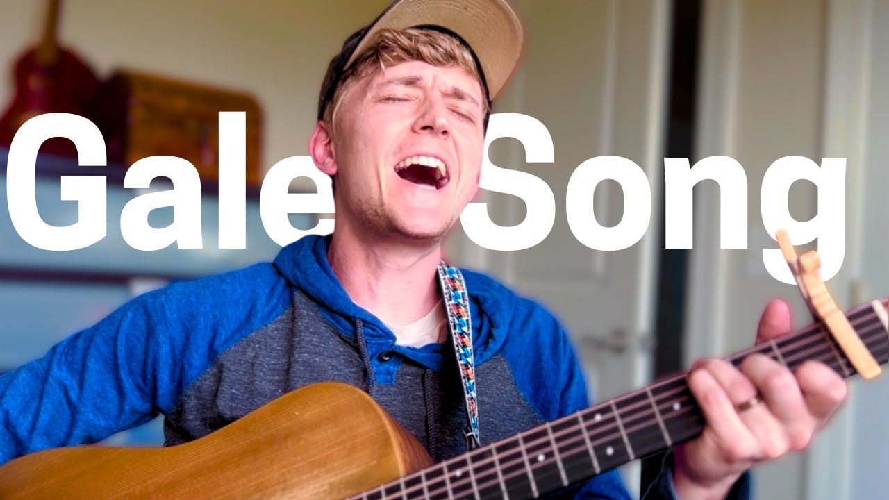 Lumineers | Gale Song (acoustic cover Mark Stephen Pelfrey)