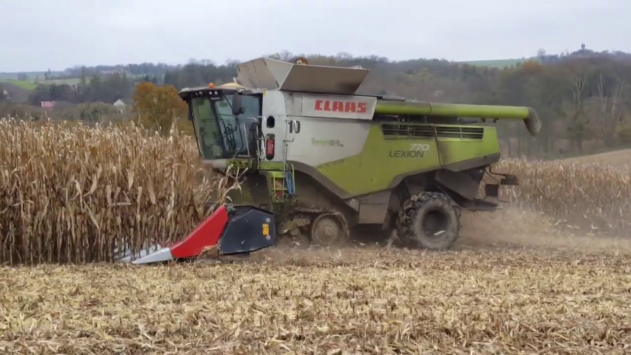 Żniwa kukurydziane 2020 - Agromax Wojnowice