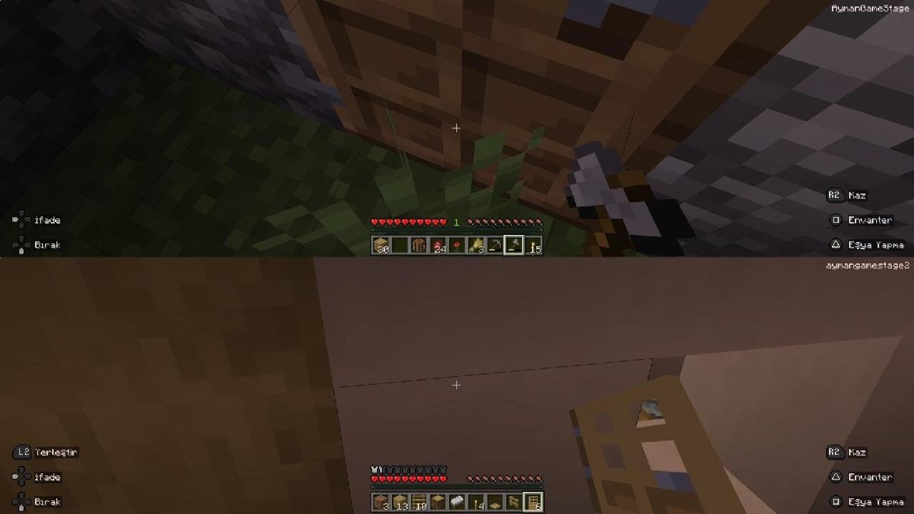 Minecraft pro 😎