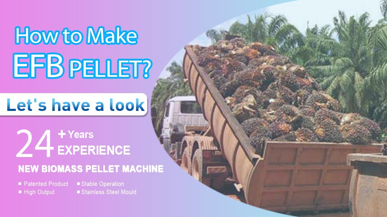 How to Make EFB Pellet? Biomass Equipment Supplier & Manufacturers | YULONG