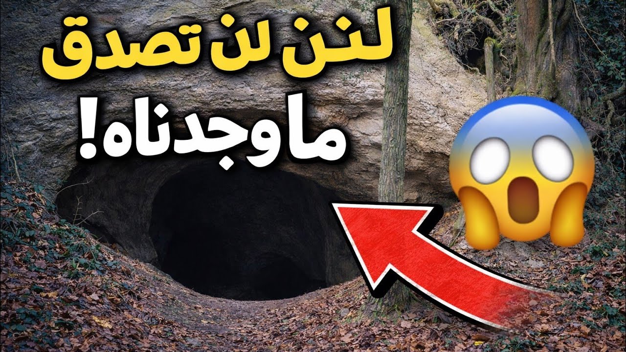  #مغارة #رحلة عادية في الغابة تحولت إلى اكتشاف خطير!  #scarystories 
