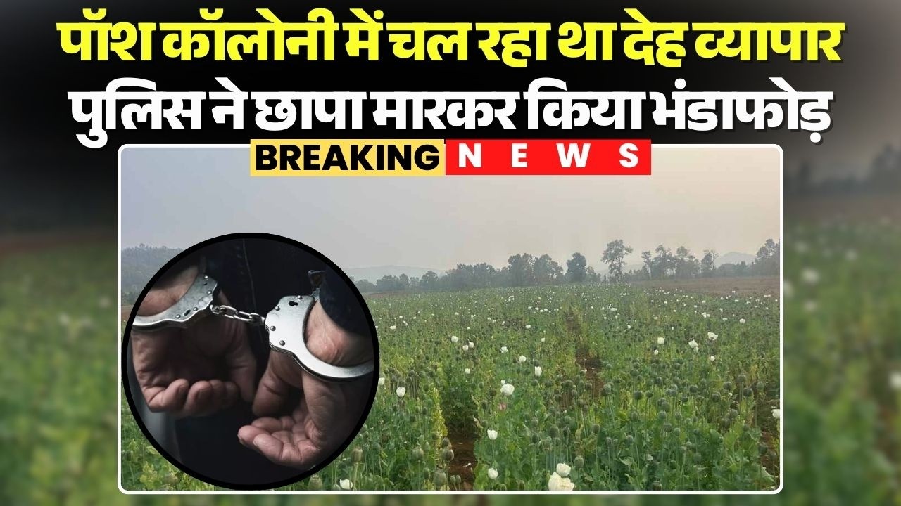 Balrampur Opium Farming Case में बड़ा एक्शन, दो जमीन मालिक हिरासत में,पूछताछ जारी |Chhattisgarh News