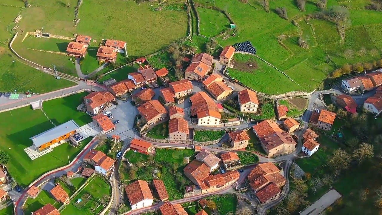 Cicera