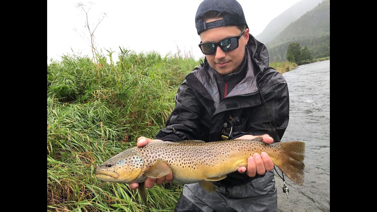 Rainy Days | &Oslash;rretfiske/Troutfishing - Hemsila 2018