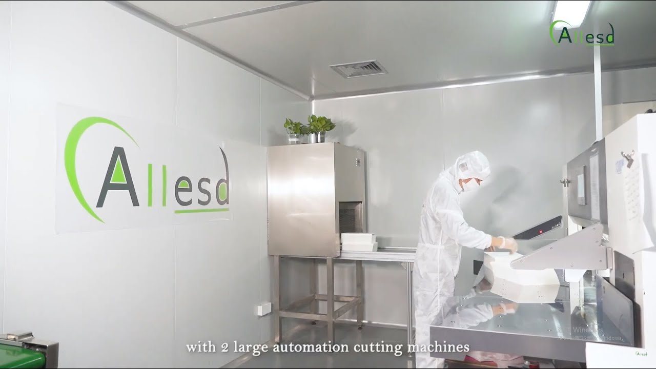 ALLESD Cleanroom | Custom Cleanroom Manufacturer,  Anti-Static and Cleanroom Products, ESD Products