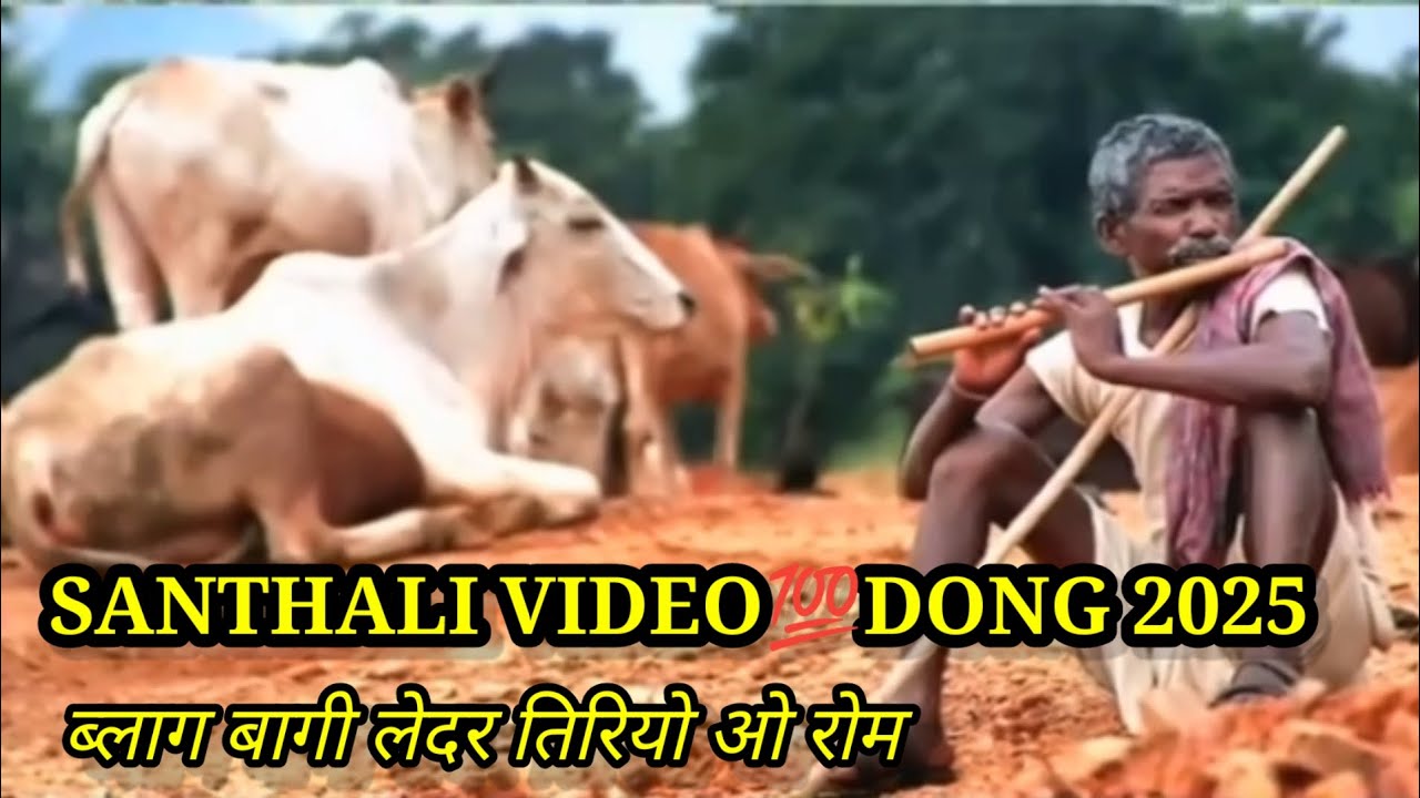 NEW SANTHALI VIDEO||__2025_BALANG BAGE LEDA TIRIYO NOROM//BALANG BAGE LEDA GUDU PHASI