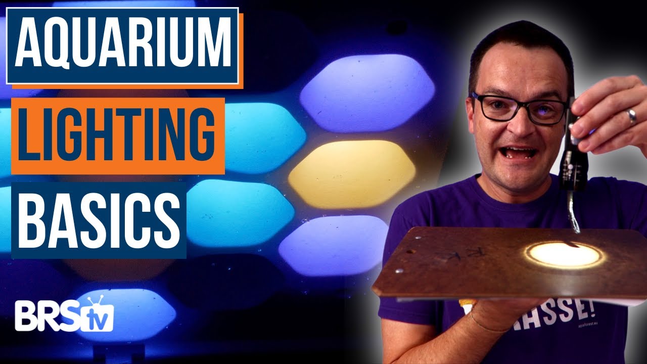 Освещение морского аквариума не должно быть слишком ярким! — Эпизод 26