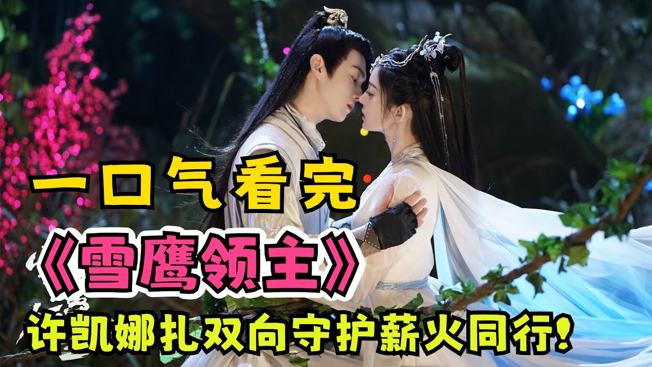 一口气看完热血励志成长剧《雪鹰领主》，许凯古力娜扎双向守护薪火同行！