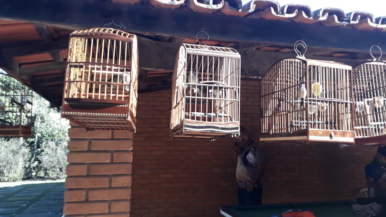 Baderna equipe fala o rolo e a resenha de jundiai