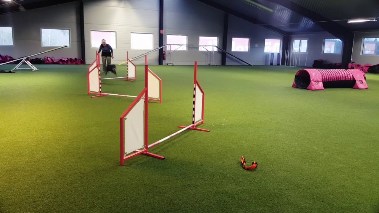Agility Foundations 2018-01-02