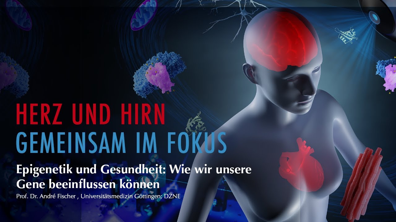 Epigenetik und Gesundheit: Wie wir unsere Gene beeinflussen können | Prof. Dr. André Fischer