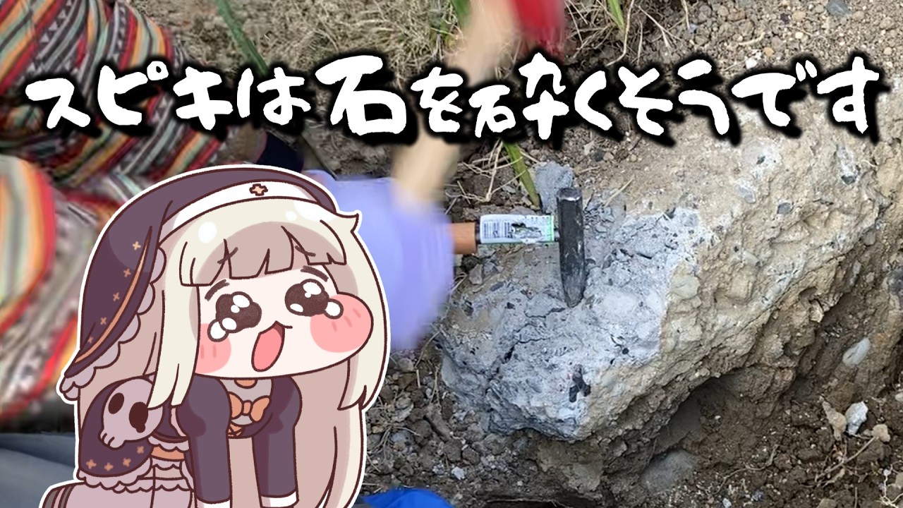 【石】スピキは石を砕くそうです