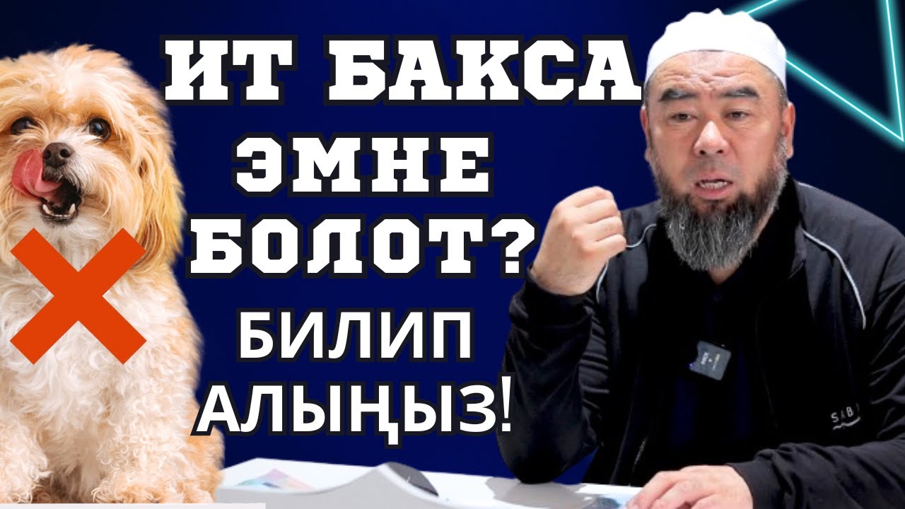 ИТ БАКСА БОЛОБУ ШАРИЯТТА КАНДАЙ КАРАЛАТ? ИТ БАКСА ЭМНЕ БОЛОТ?
