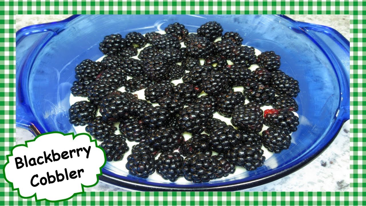 Easy Amish Blackberry Cobbler ~ UNIQUE Best Berry Cobbler Recipe