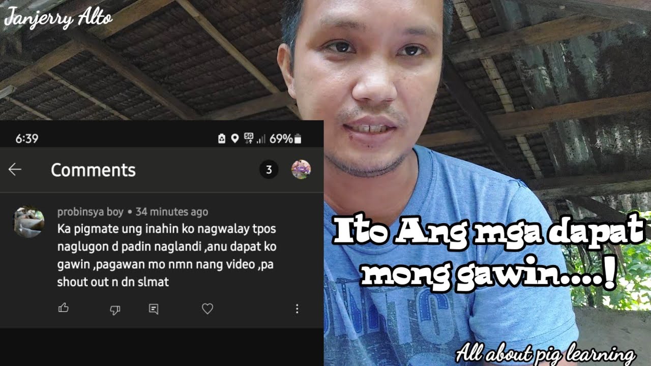 Paano ba Maiiwasan ang Paglalagas ng balahibo at pag tagal sa pag landi ng Inahin? @baboy