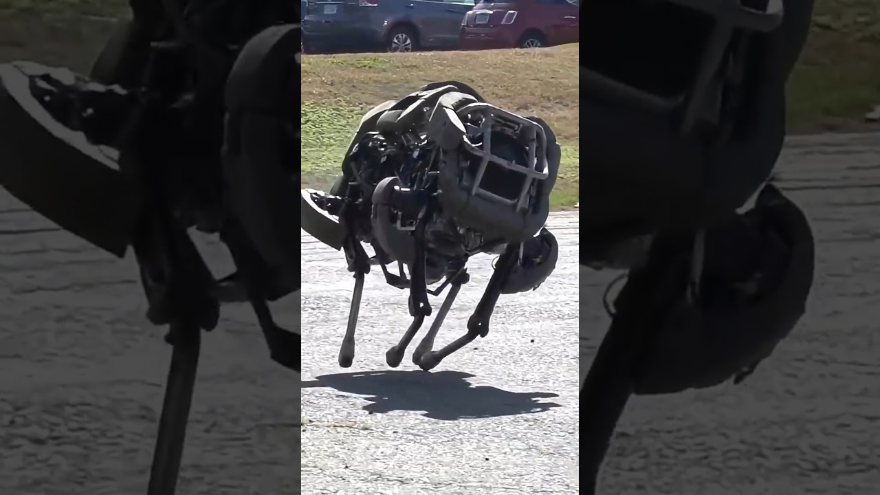 A legged robot that runs at 20 mph, by a two stroke go kart engine, from Boston Dynamics