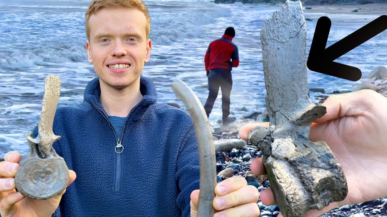 Crocodile, Plesiosaur Fossils: 3 DAY Outdoor Fossil HUNT! | Fossil Hunter