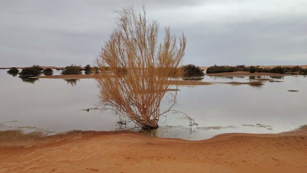 Erg and Water,  Exceptional beauty  Remini Boualem