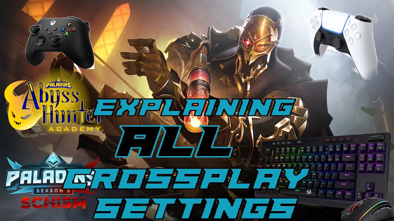 The Truth About Paladins Crossplay (2022)