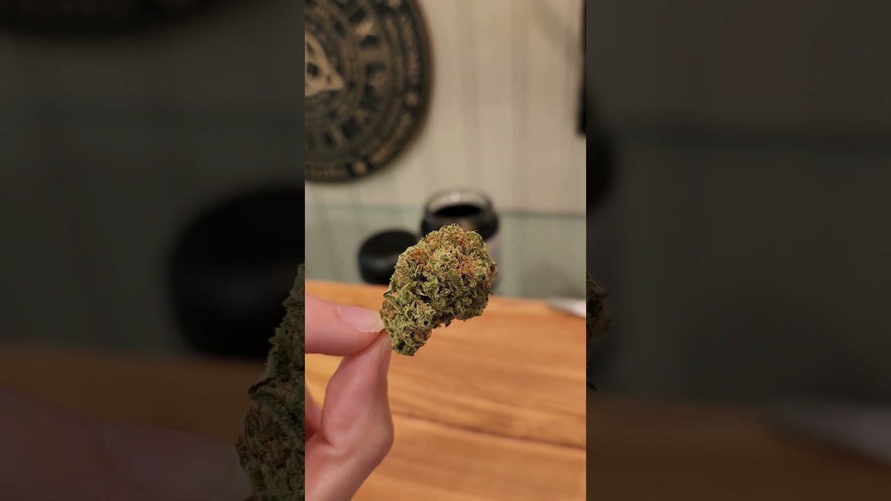 Indiana bubblegum #magic #spirituality #cannabis