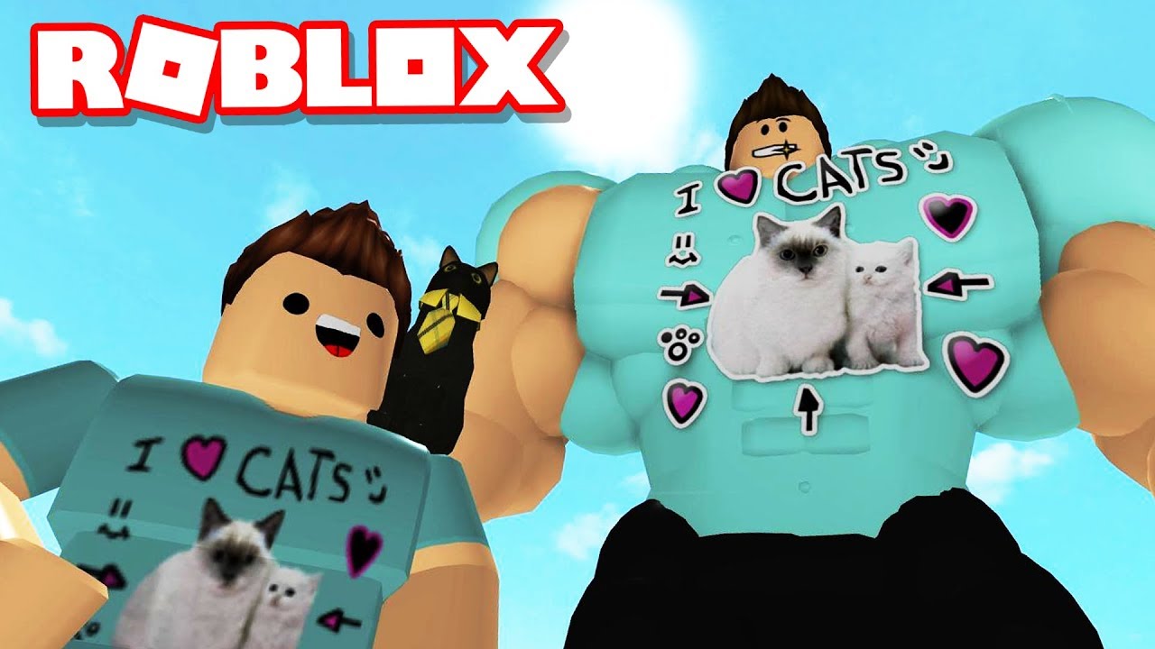 I HAVE A ROBLOX TWIN BROTHER!!