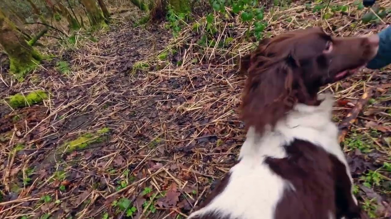 Tilly 6th Feb 26