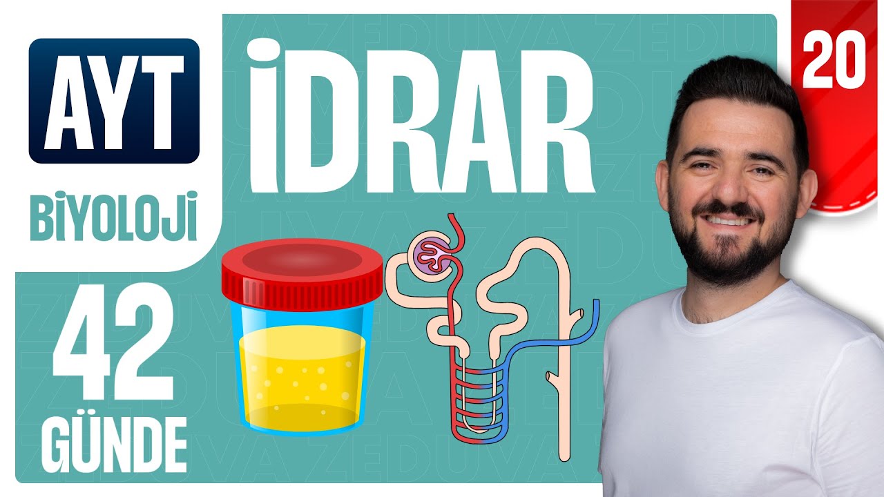 İdrar Oluşumu - Üriner Sistem | 42 GÜNDE AYRINTILI AYT BİYOLOJİ KAMPI 2026-2027 | 20.GÜN