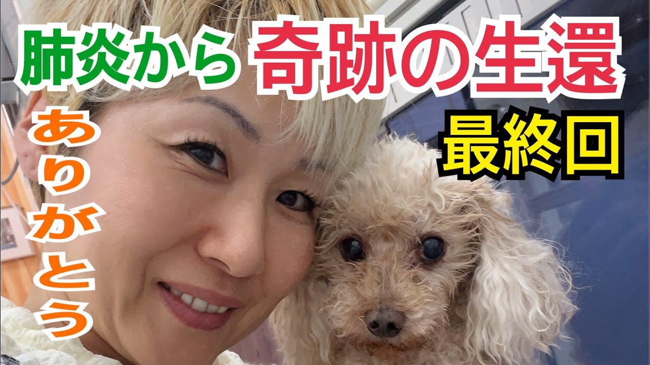 肺炎から奇跡の生還を果たした犬【最終回】