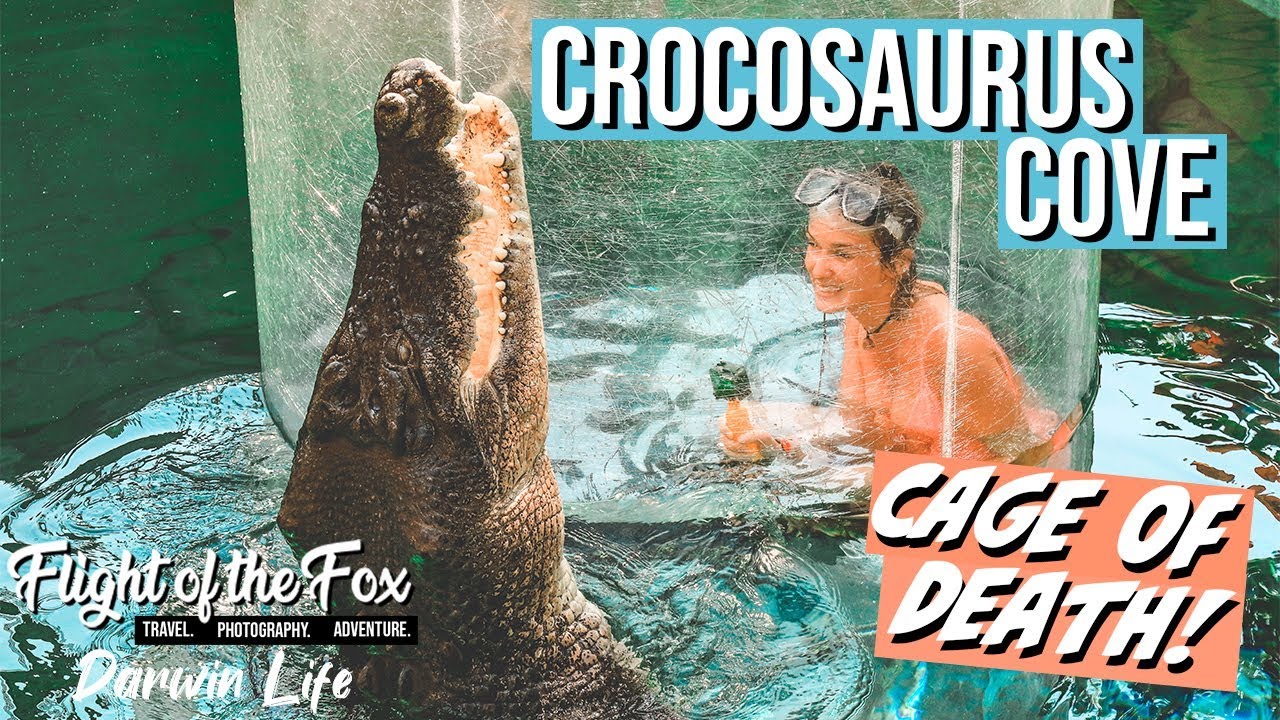 Crocosaurus Cove | CAGE OF DEATH 🐊 Best things to do in Darwin! | Episode 38 - Darwin Life