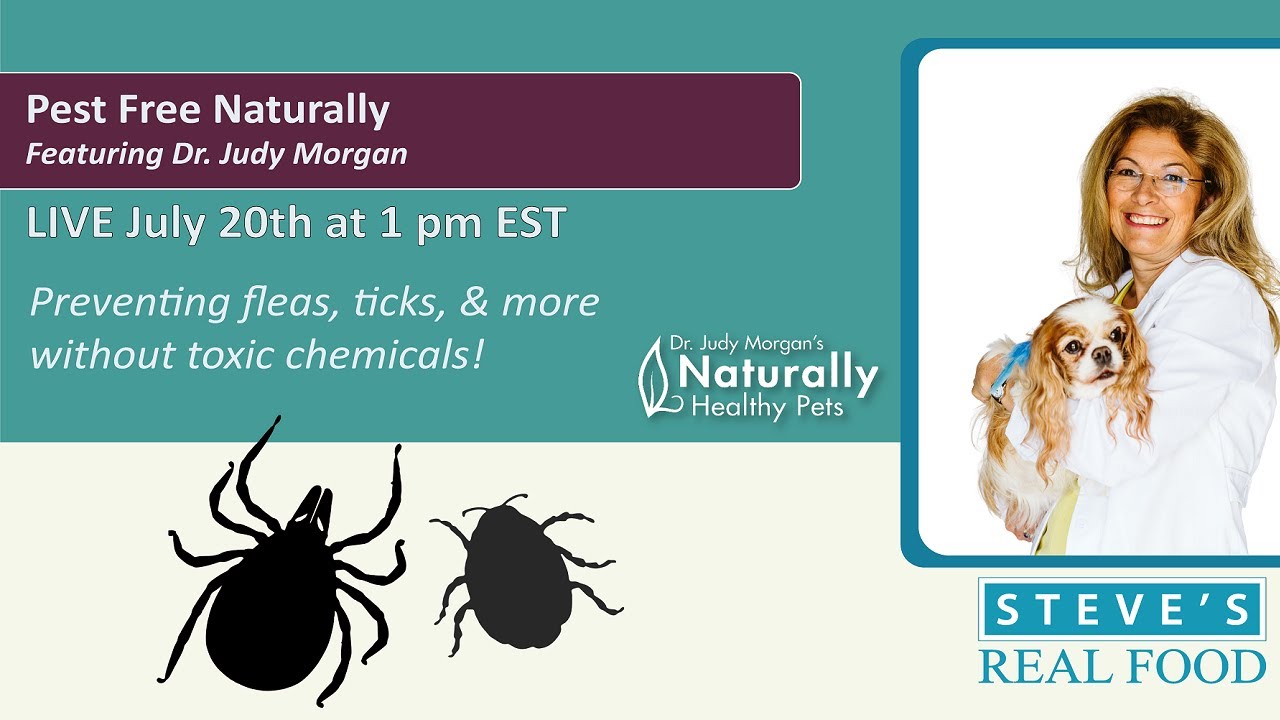 Pest Free Naturally - Featuring Dr. Judy Morgan