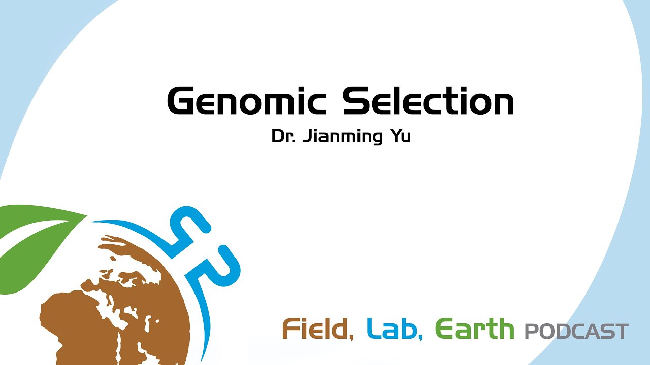 Genomic Selection with Dr. Jianming Yu | Field, Lab, Earth Podcast #134