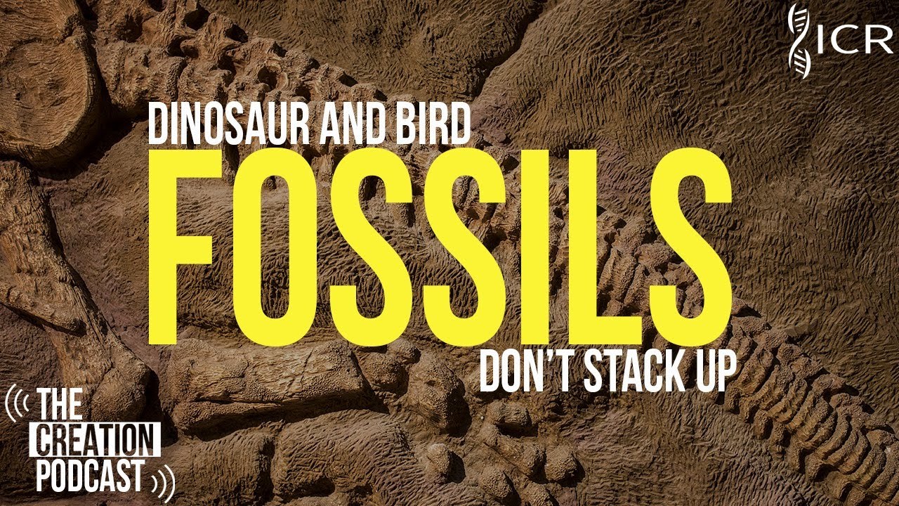 Dinosaurs with Bird Brains???