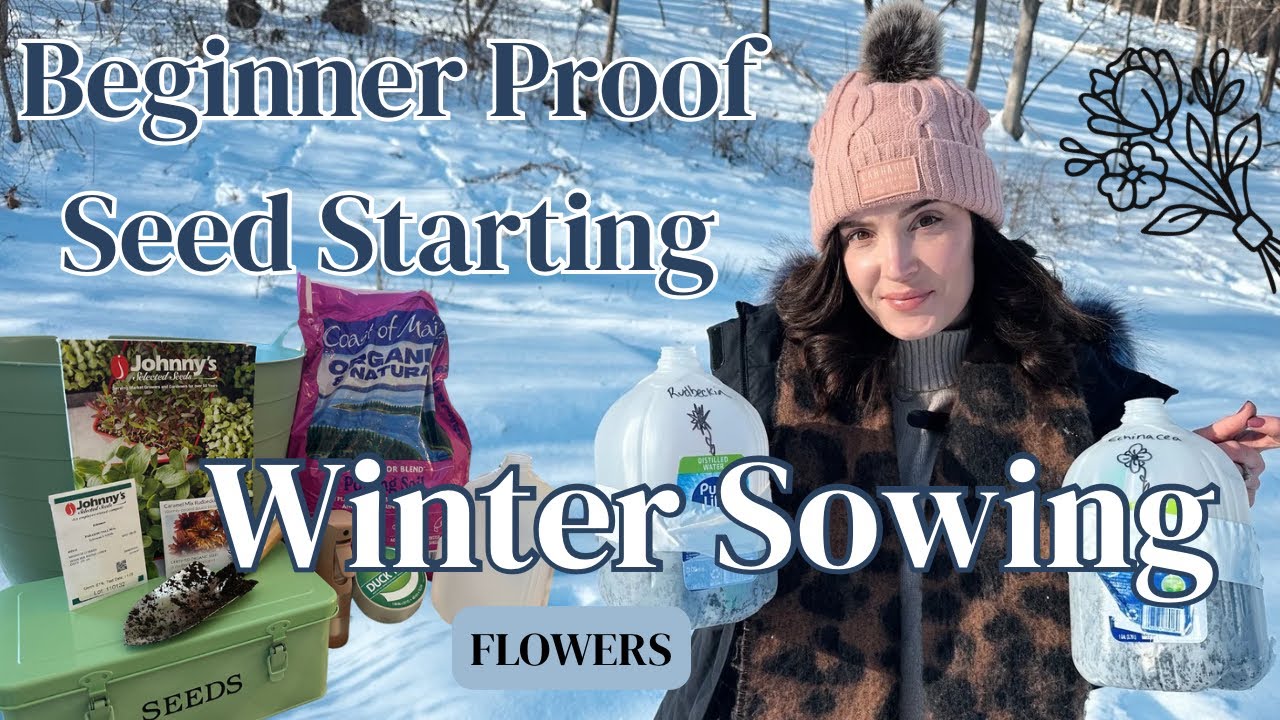 Winter Sowing Flowers 🌱 What to Plant & When (No Grow Lights Needed!)