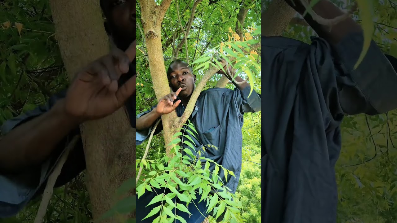 utacheka adi ufe  😂😂 #katambuga #katangicomedy #funny