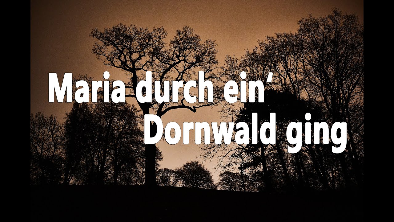 Maria durch ein' Dornwald ging (GL224) - zum Mitsingen mit Text