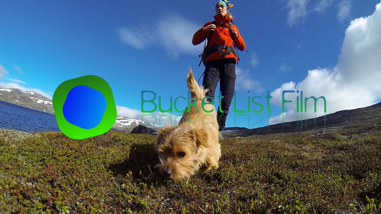 Hundliv i Lunndörrarna och Anaris