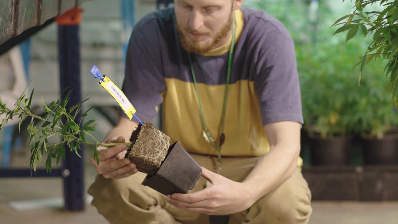 Anden Dehumidification & Control | Grow with Success