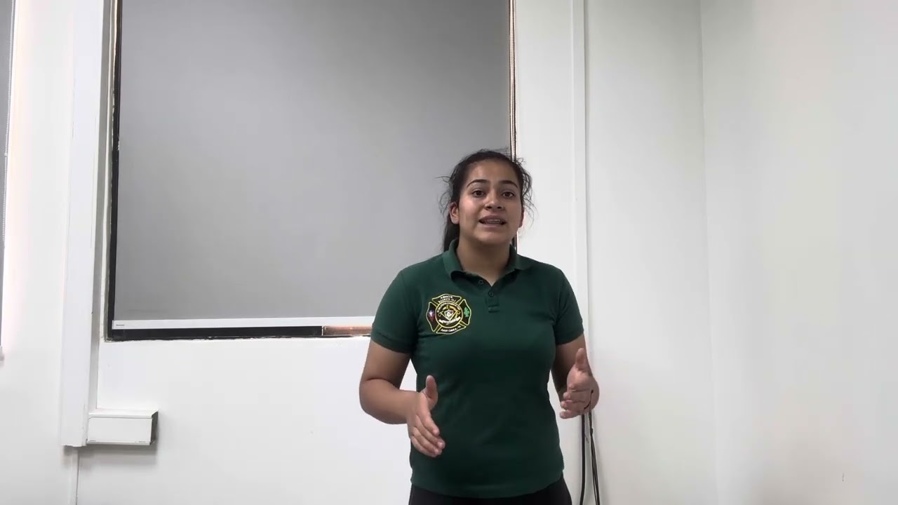 Examen innovación y proyectos Emilia Palacios 
