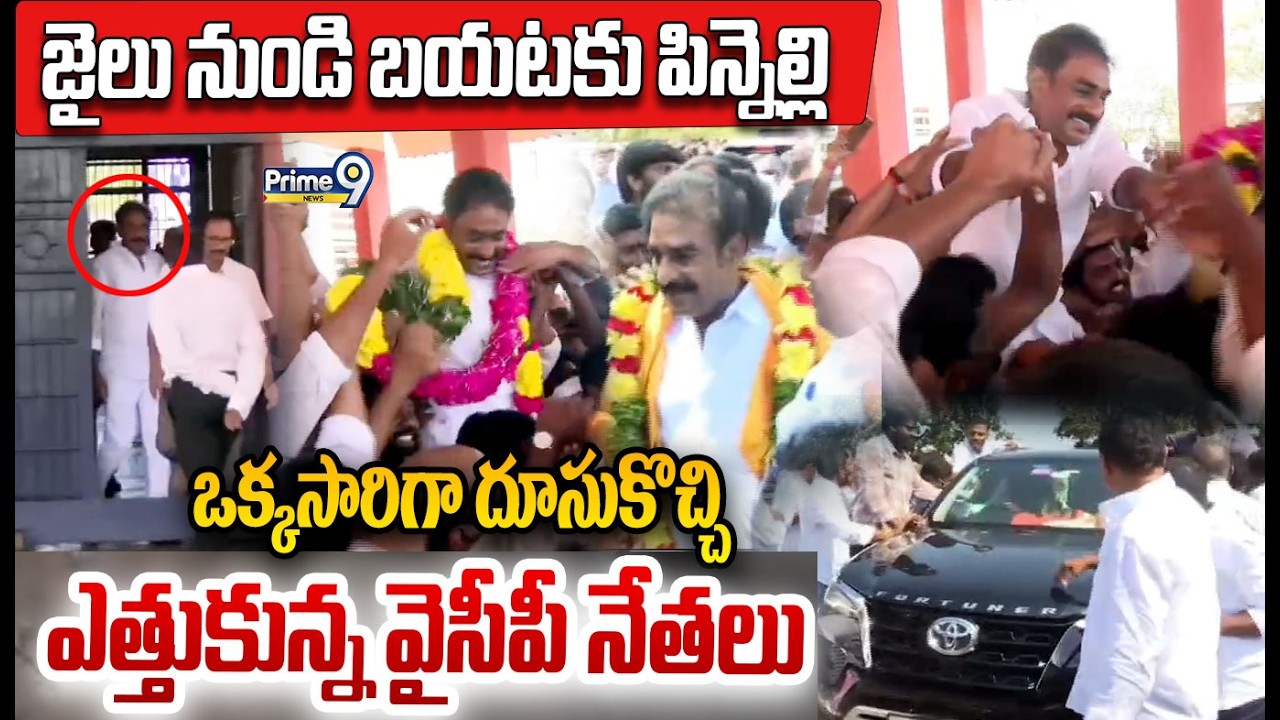 Pinnelli Ramakrishna Reddy Release Video : జైలు నుండి బయటకు పిన్నెల్లి  ఎత్తుకున్న వైసీపీ నేతలు