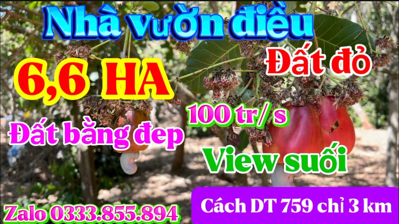Nhà Vừờn điều 6,6 ha đất đỏ view suối cách DT759 b chỉ 3 km mà giá chỉ 100 tr/ s