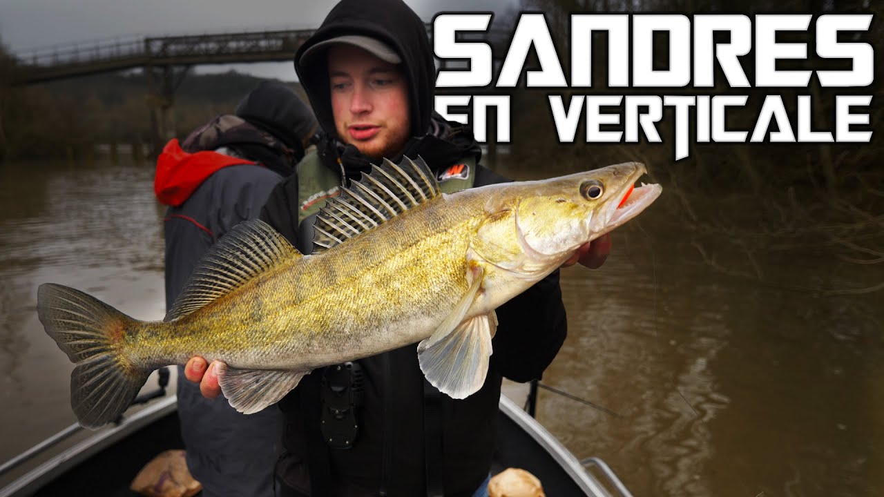 Pêche du SANDRE en SEINE en VERTICALE à l'Optimus Finesse avec Julien et Giovanny
