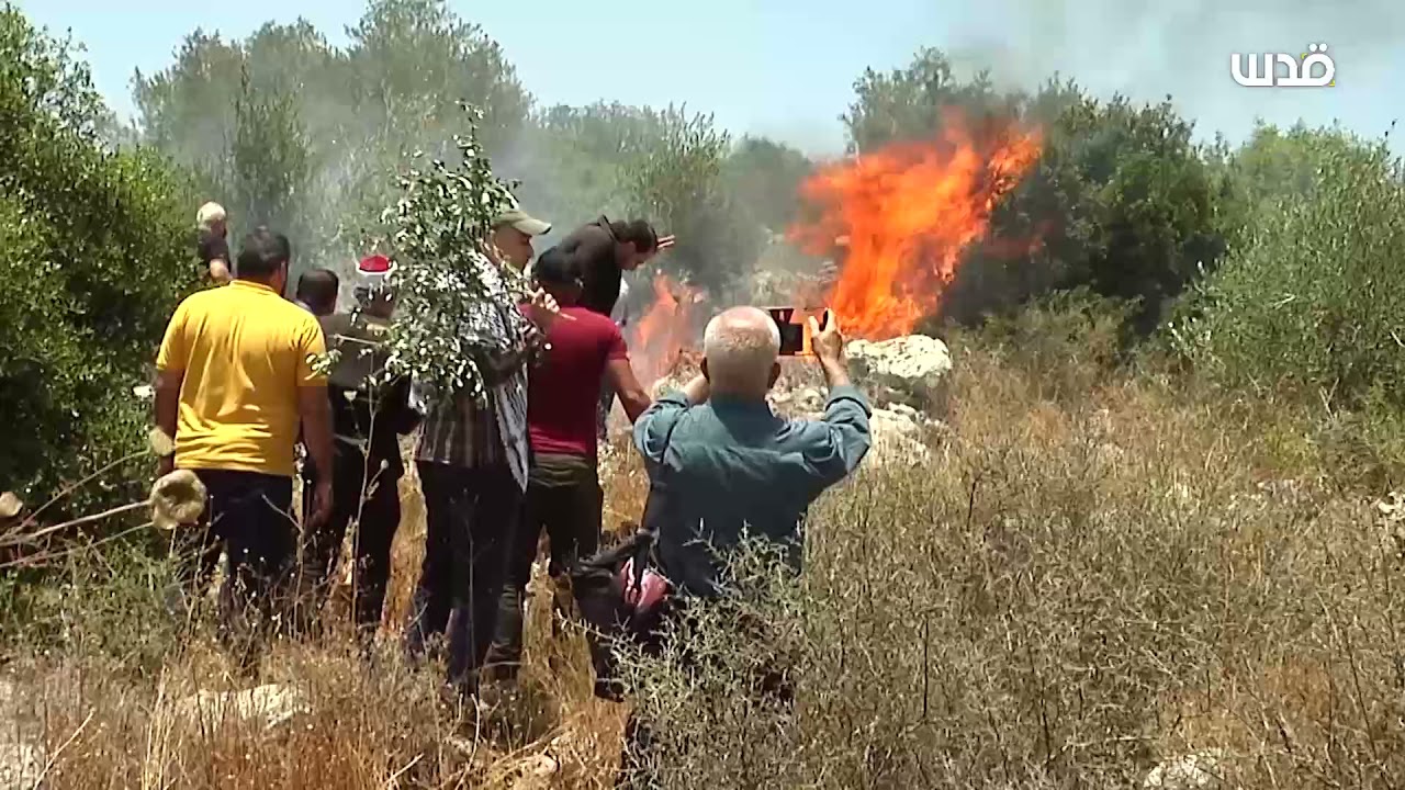 فعالية ضد إقامة بؤرة استيطانية في منطقة الراس غرب سلفيت.