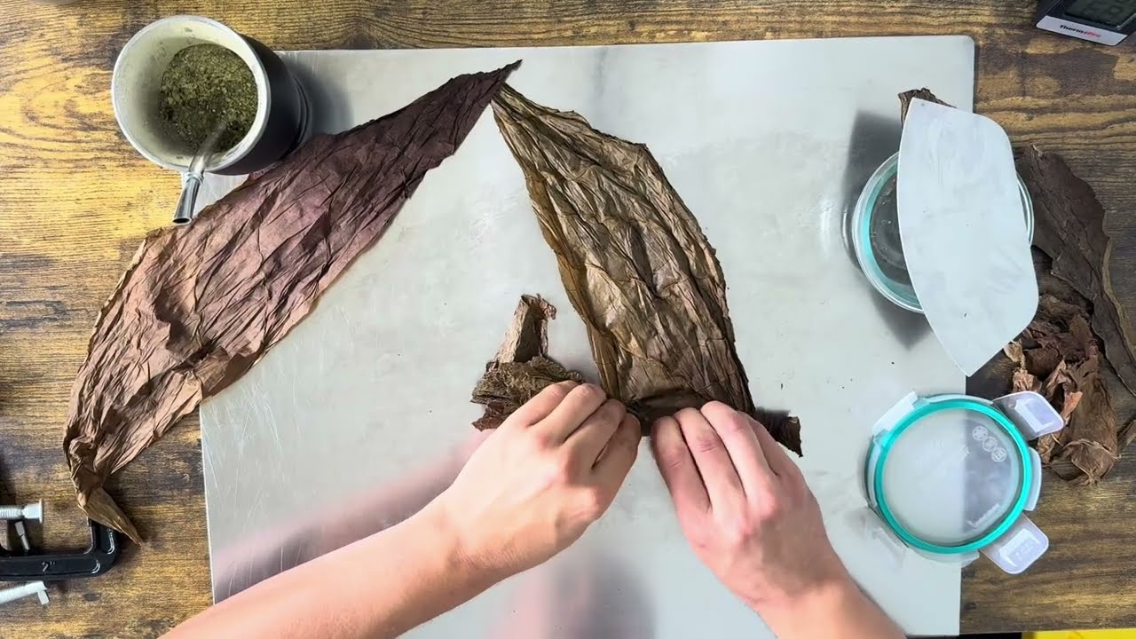 Rolling Freestyle | From Cigarillo to Corona (Part 1)