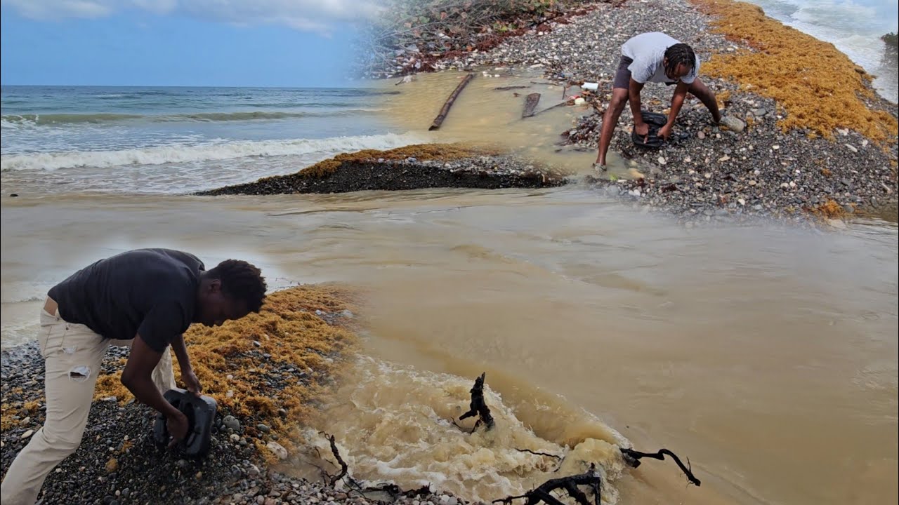 THE BIGGEST RIVER MERGING IN JAMAICA HISTORY 5 BILLION GALLION OF WATER RUSHES TO THE SEA 