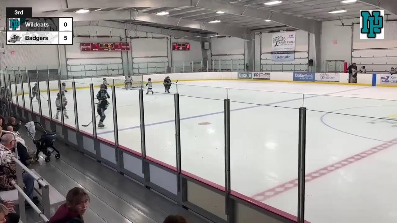 North PGH Wildcats 10U vs Allegheny Badgers - Feb 1, 2026