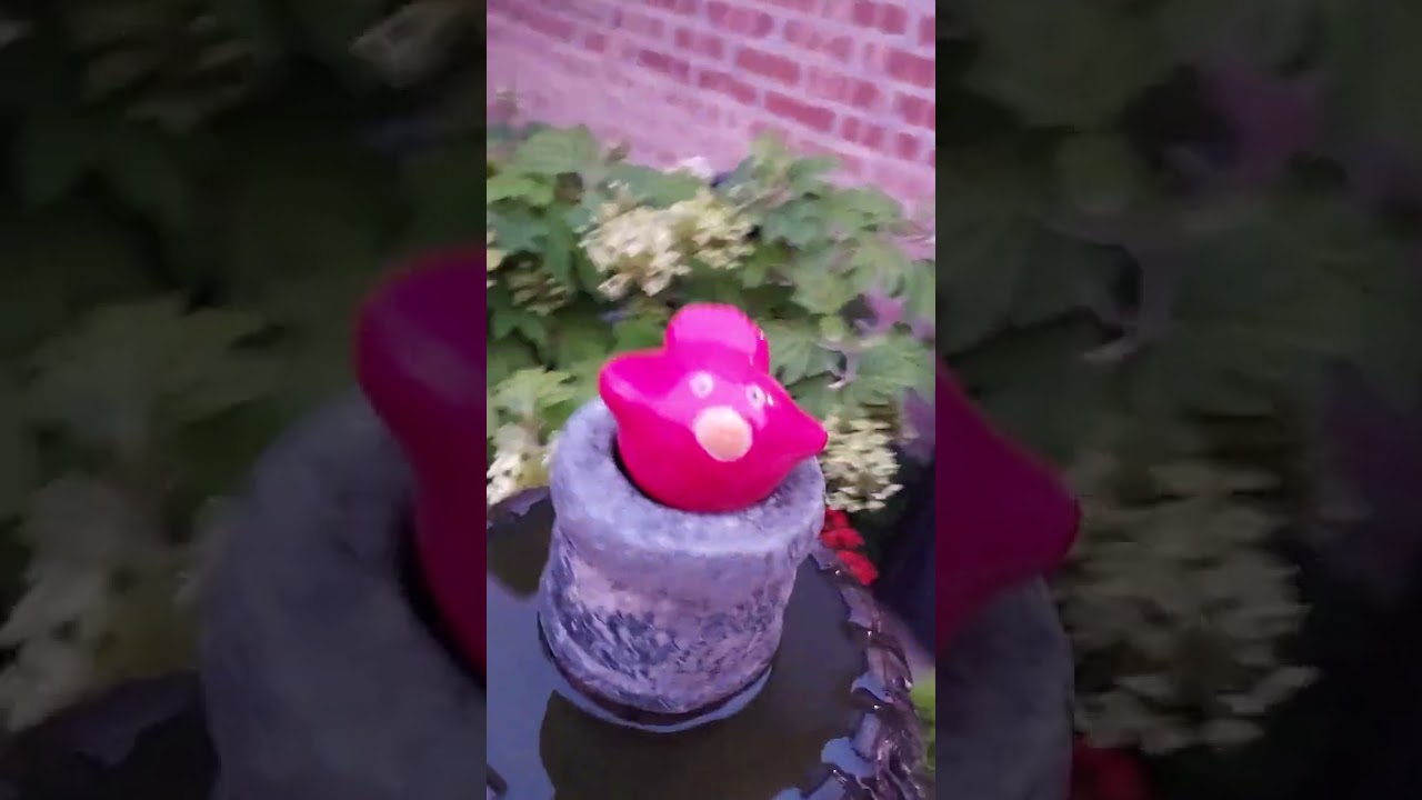Midsummer garden tour 2023