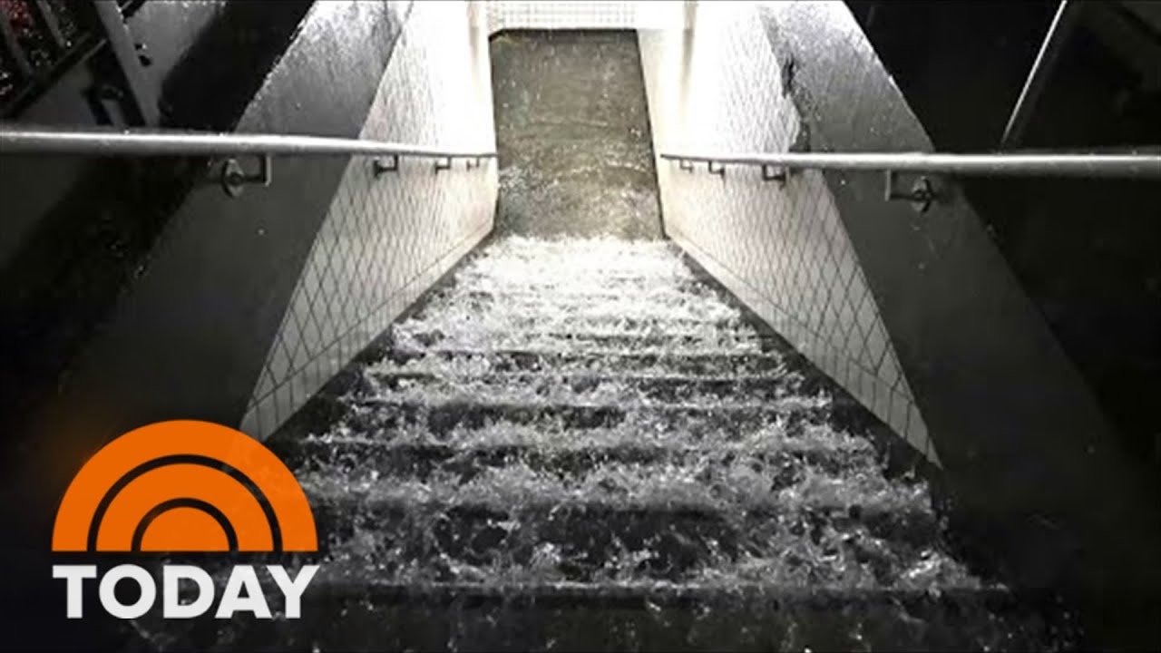 Ida Brings Historic Rainfall To Northeast